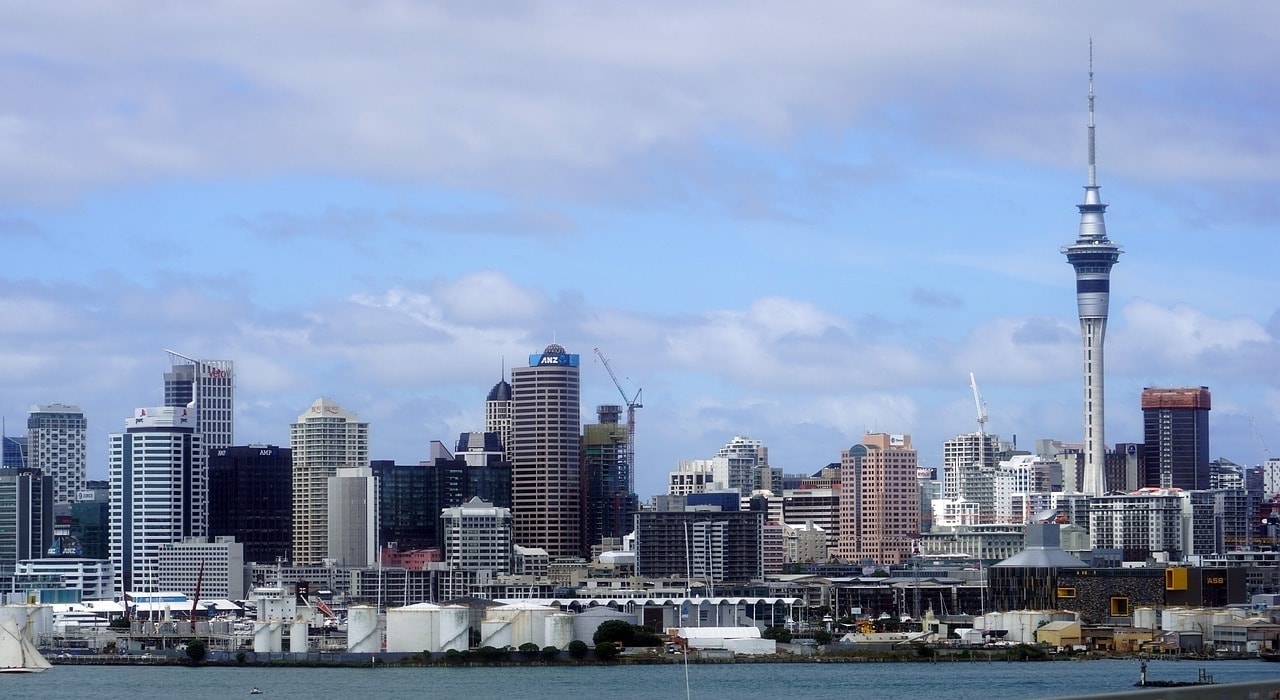 The Auckland Skyline