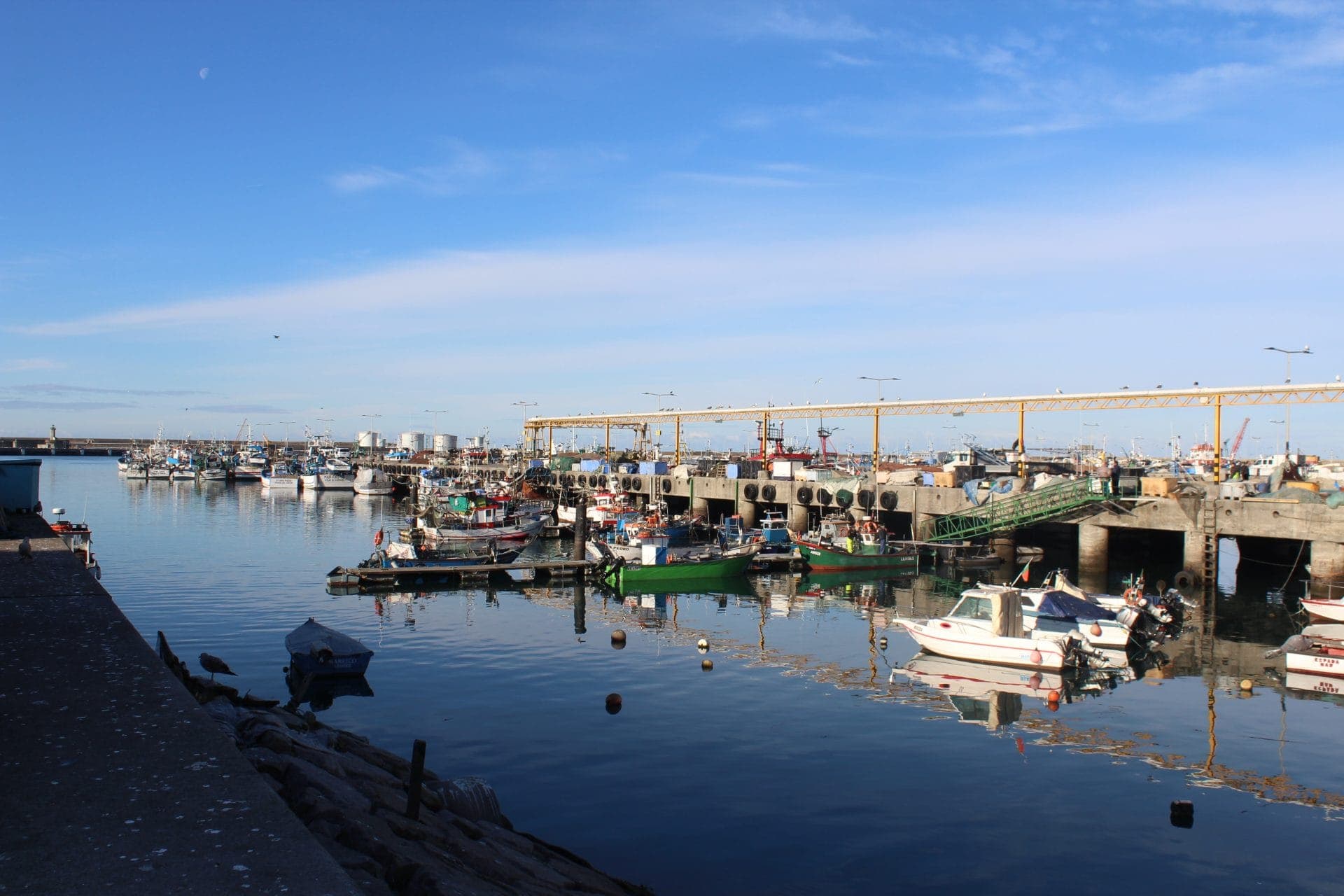 cleaning and waste management services in the fishing port of Matosinhos