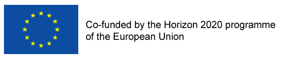 Co-funded by the Horizon 2020 programme