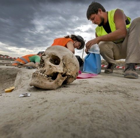 calavera en la excavación de la carretera D4R7 en Eslovaquia 