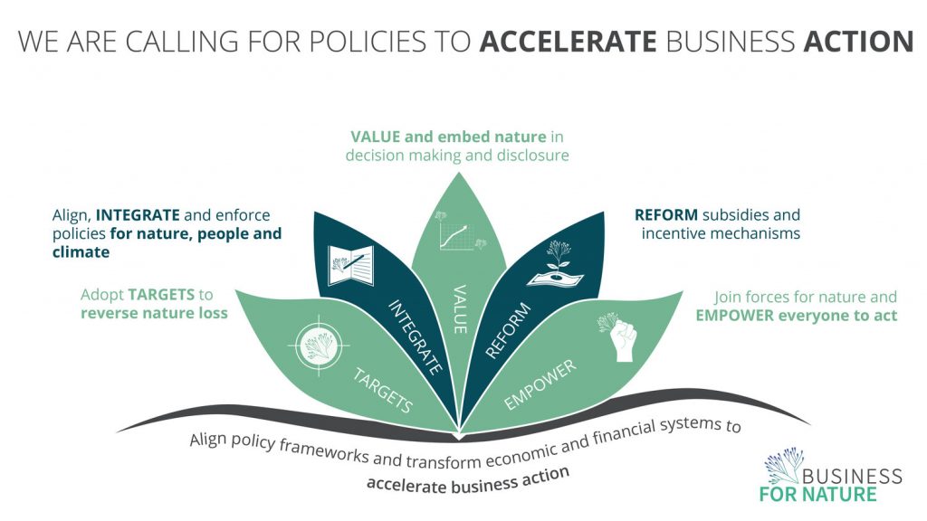 Business For Nature Sustainability call to action policy measures environment