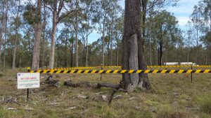 Protección Medioambiente Carretera Toowomba Australia Ferrovial Conservacion Naturaleza Premio